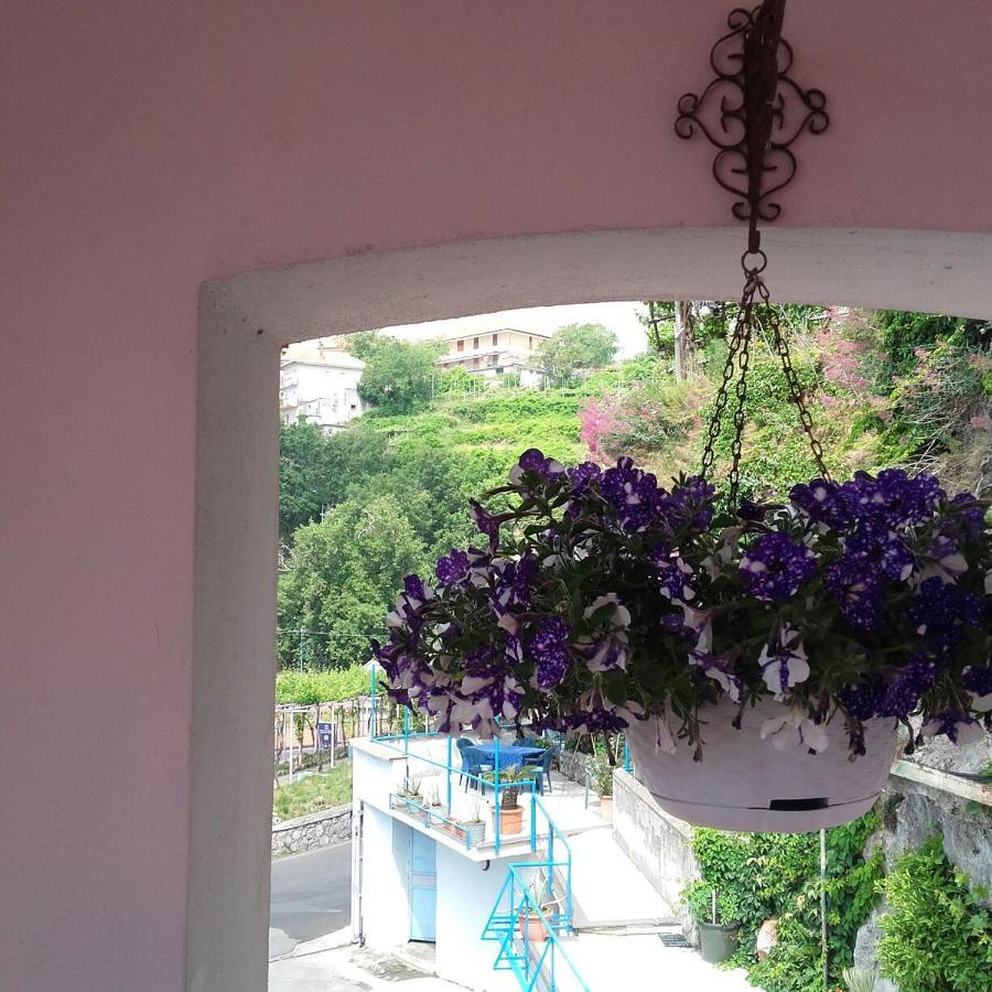 Al Geranio B&B Furore Extérieur photo