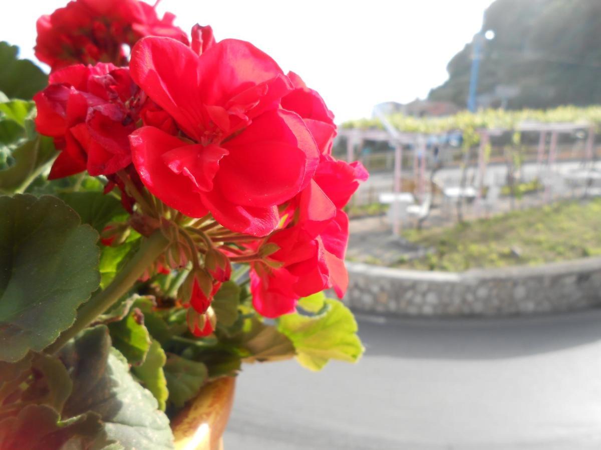 Al Geranio B&B Furore Extérieur photo