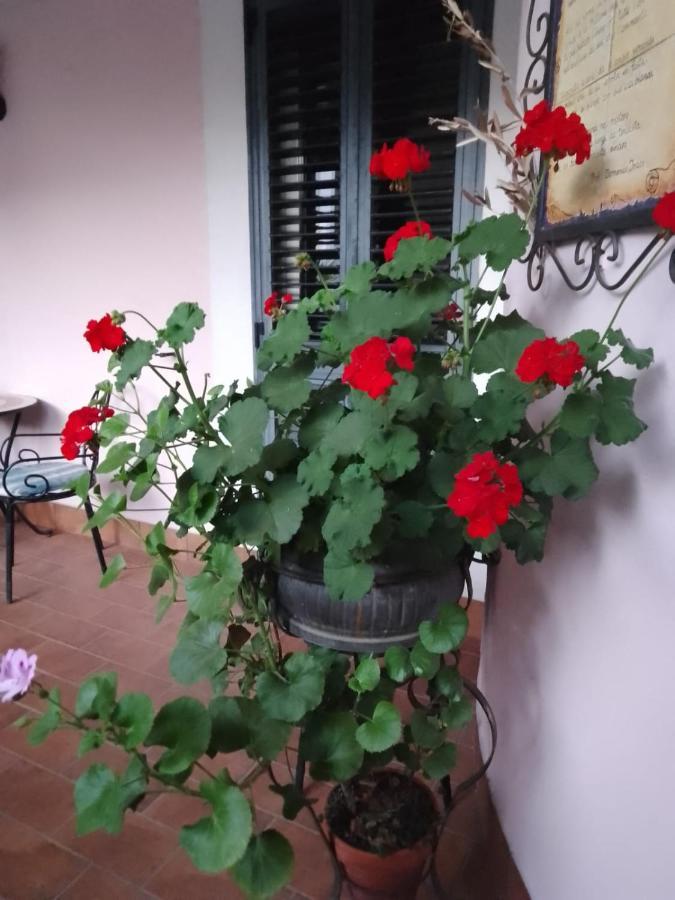 Al Geranio B&B Furore Extérieur photo