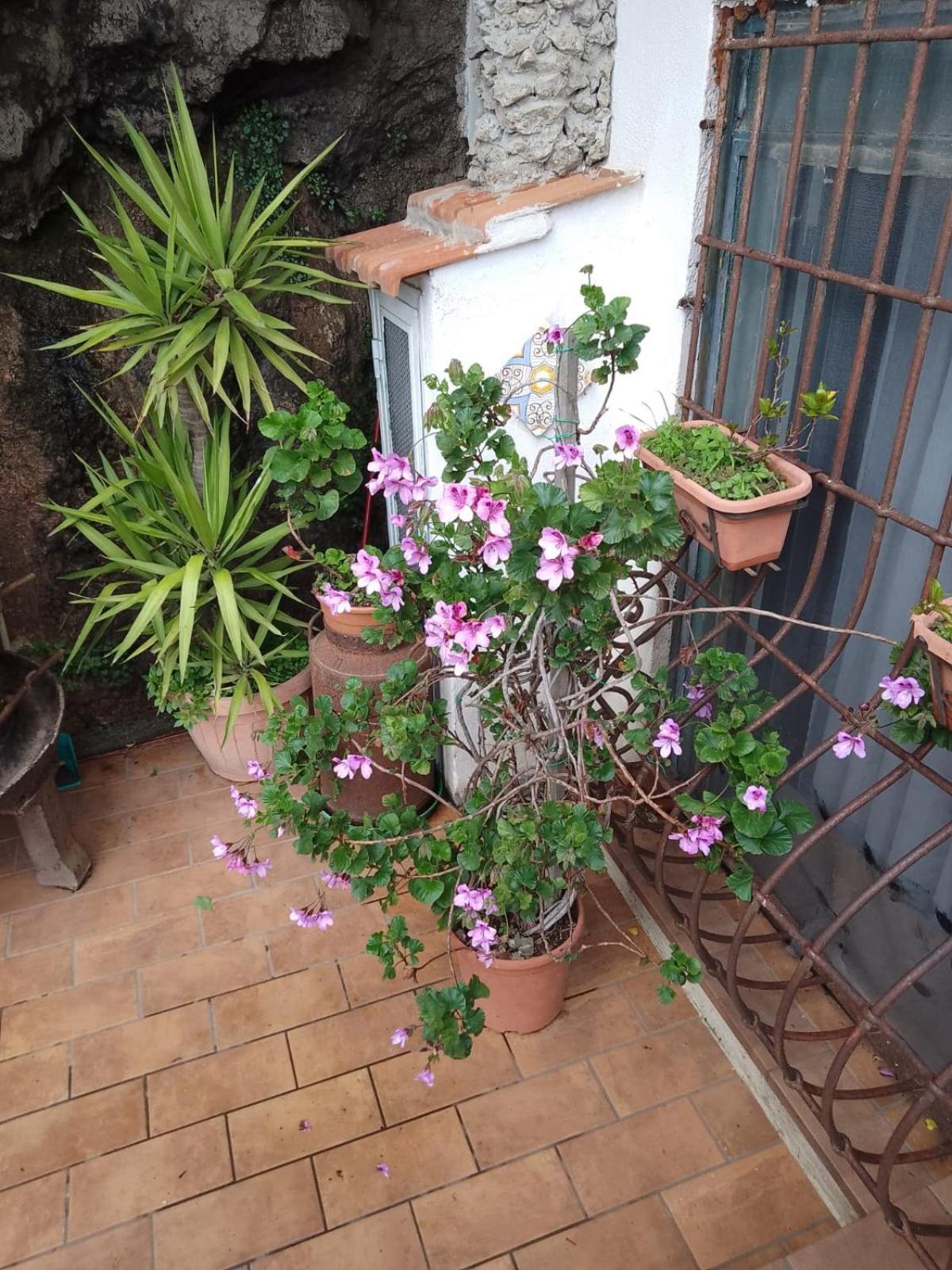 Al Geranio B&B Furore Extérieur photo
